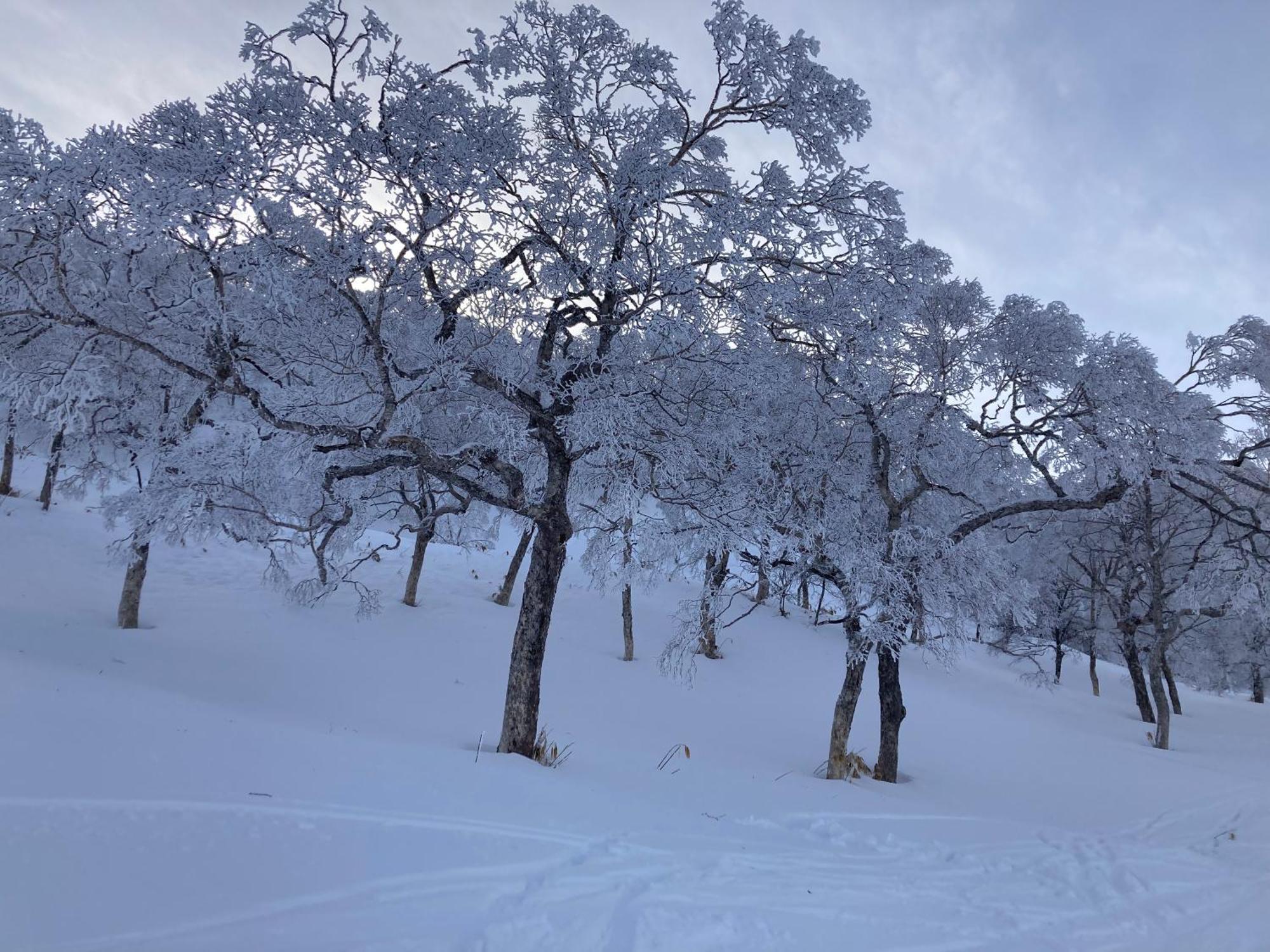Murmeln Yuzawa  Exteriör bild