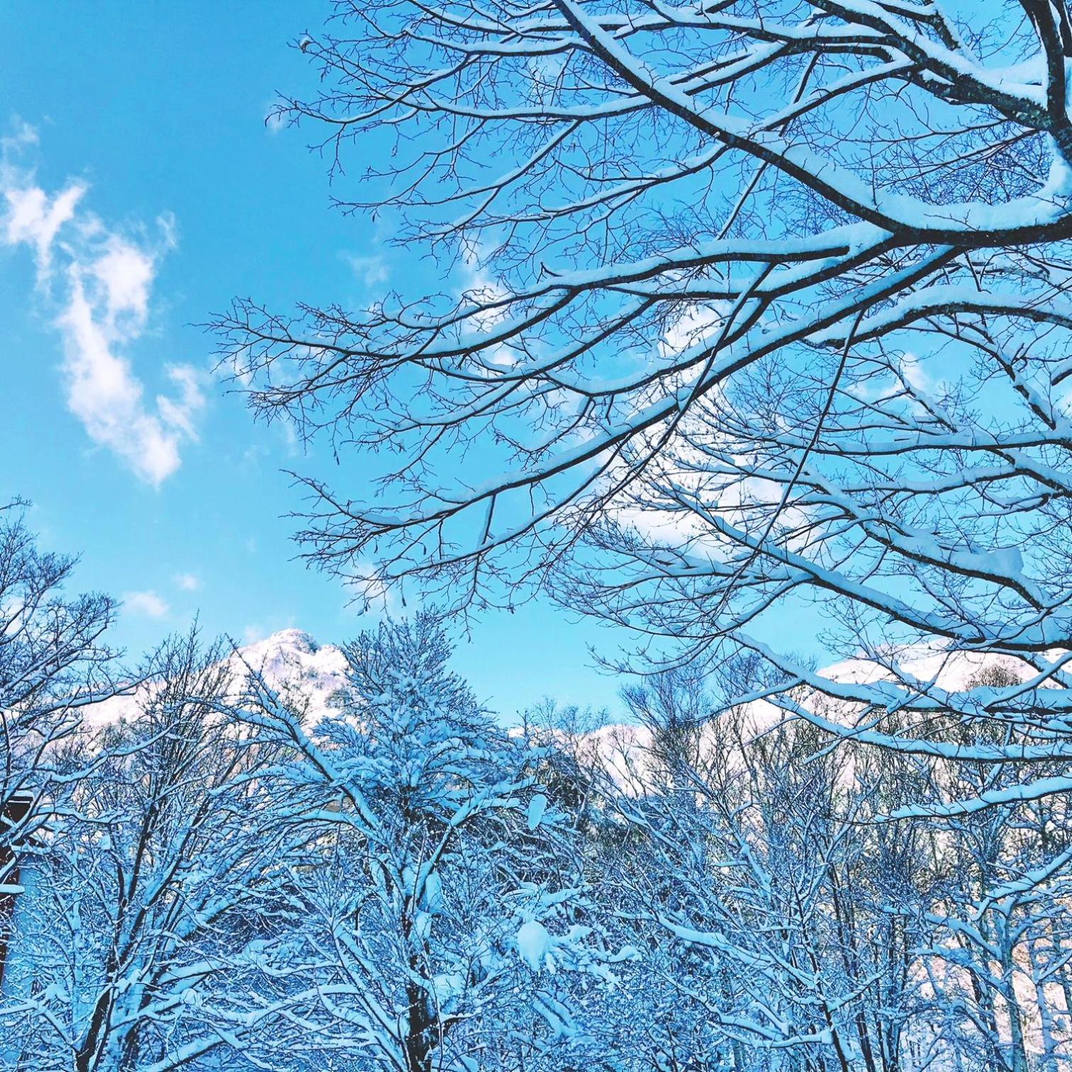 Murmeln Yuzawa  Exteriör bild